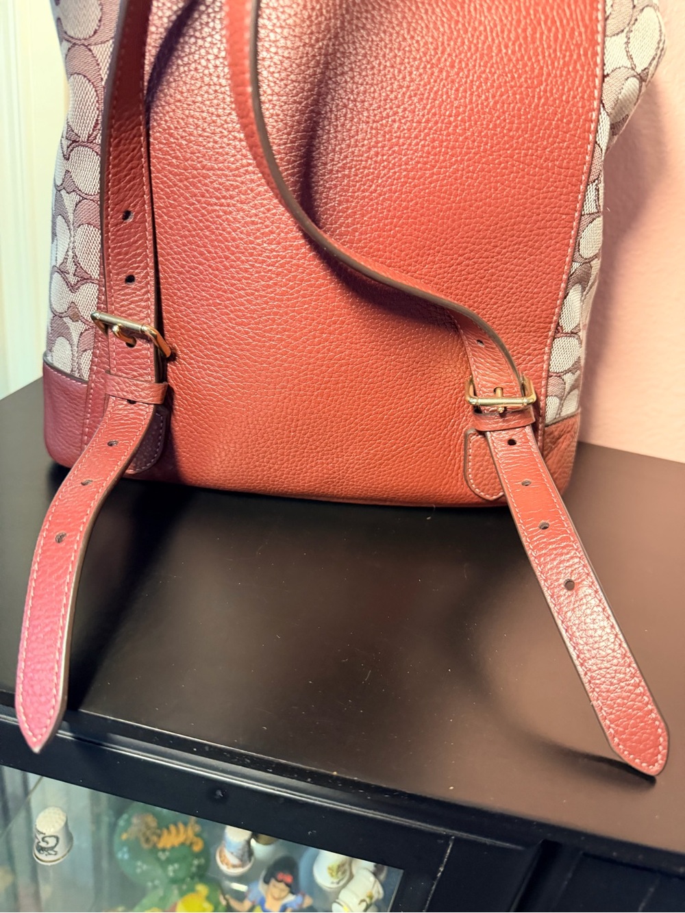 Coach Dempsey Drawstring Backpack - Picture 5 of 16